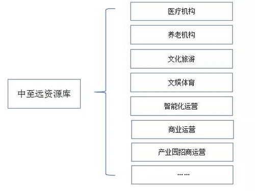 地方政府專項債發行全流程綜合咨詢服務方案——中至遠咨詢，以專業技術與防偽保障護航地方發展